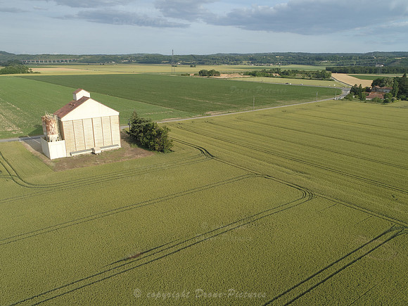 Photo aérienne Champs de blé à Moidieu - Isère © Drone-Pictures