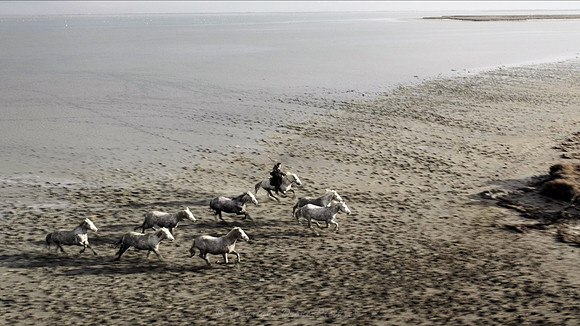 Photo aérienne par drone  de Chevaux Camargue © Drone-Pictures
