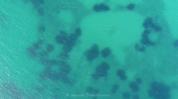 Eau translucide de la mer