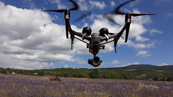 Drone Inspire 2 en vol devant champs de Lavandes à Sault lors de la récolte le 18 Juillet 2020 © Drone-Pictures