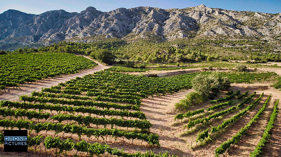 Vue aérienne des Vignes au pied de la Montagne Sainte-Victoire © Drone-Pictures