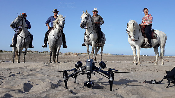 Chevaux Plage - Drone - Explorers