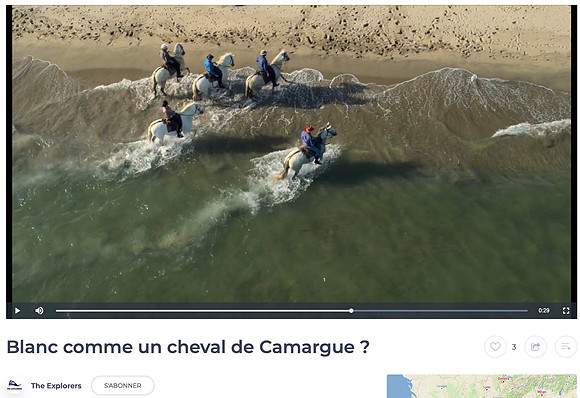 Clip Camargue - Drone plage de piemanson, bouches du rhône