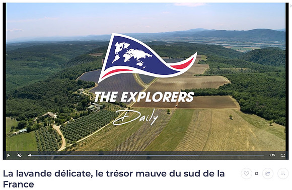 Clip Lavandes-Valensole par drone Vaucluse