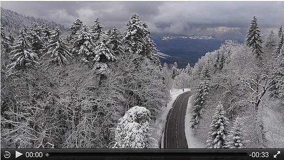 Sapins Neige - Chamrouse
